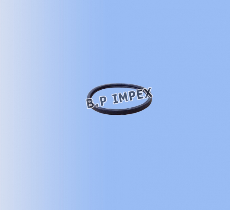 Thermostat Seal,7910245057N